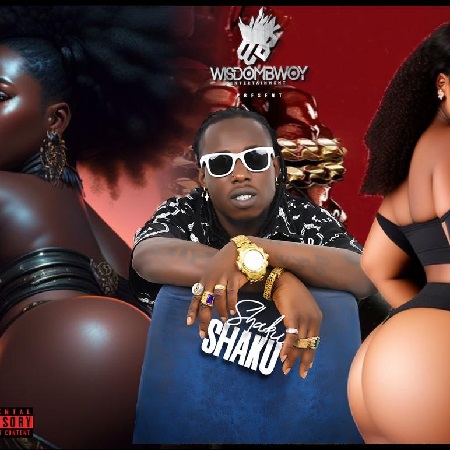 Wisdom Bwoy - Shaku Shaku