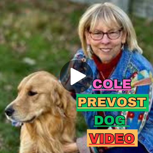 Cole Prevost Dog Video