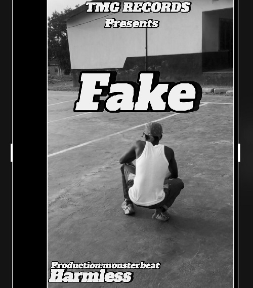 Harmless - Fake