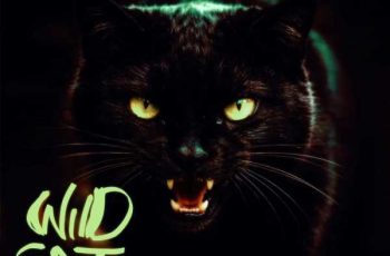 Wildcat by Kwame Yogot (WYFL Riddim)