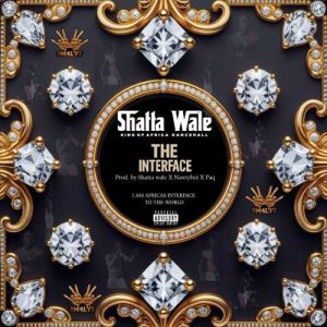 Shatta Wale - Auto Pilot