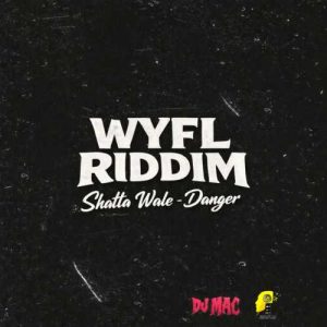 Shatta Wale - Danger ft. DJ MAC, CrashDummy