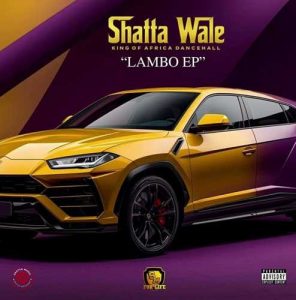 Shatta Wale - When We Deh Come