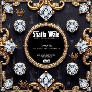 Shatta Wale - Yawa Ni