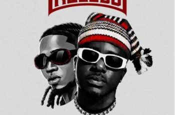 Zoro Swagbag – Nzogbu Ft Jeriq (New Song)