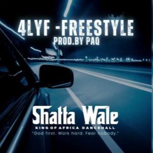 Shatta Wale - 4lYF