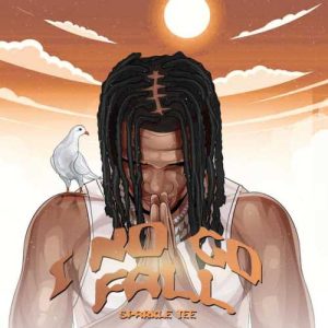 Sparkle Tee - I No Go Fall