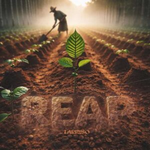 Larruso - Reap