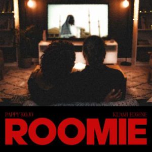 Pappy Kojo - Roomie ft. Kuami Eugene