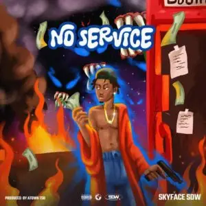 Skyface SDW - No Service