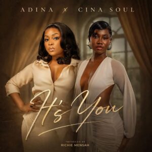Adina Thembi - It’s You ft. Cina Soul