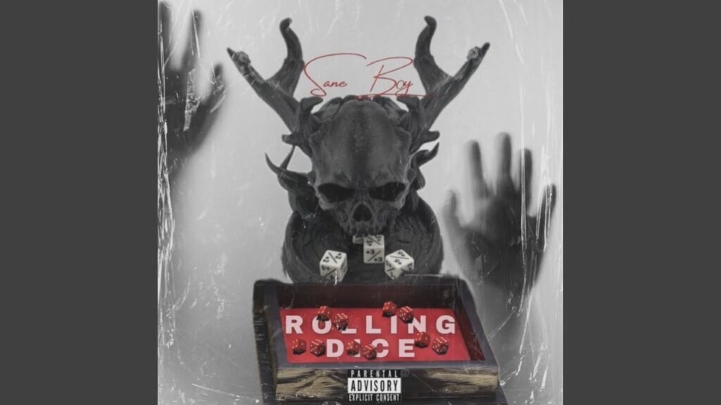 Sane Boy - Rolling Dice