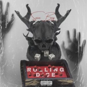 Sane Boy - Rolling Dice