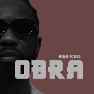 Bisa Kdei – Obra
