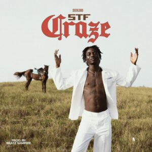 Dikoo - STF Craze
