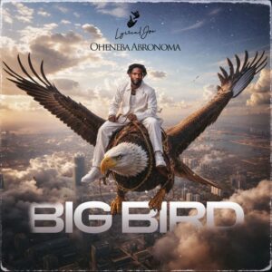 Lyrical Joe - Big Bird