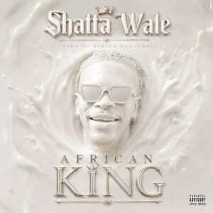 Shatta Wale - Summertime