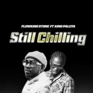Flowking Stone - Still Chilling ft. King Paluta